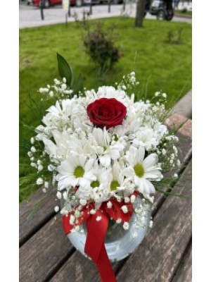  Malatya Çiçek - akvaryumda papatya tek gül