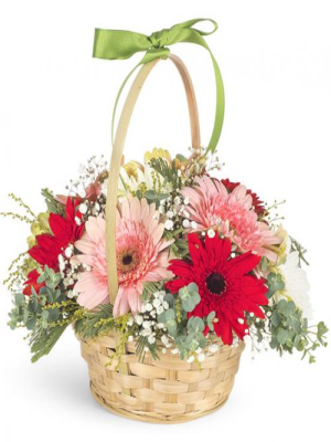  Malatya Çiçek - sepette beyaz güller 