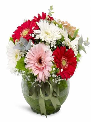 Malatya Çiçekçi - rengarenk gerbela fanusta