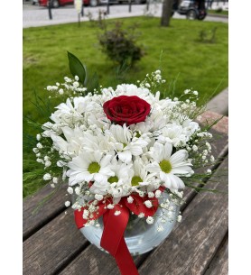  Malatya Çiçek - akvaryumda papatya tek gül