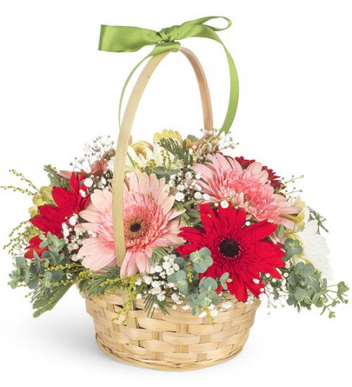 Malatya Çiçekçi - sepette gerbela