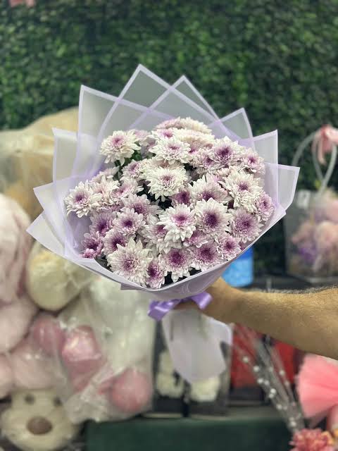  Malatya Çiçek Gönder - pembe kasımpatı 