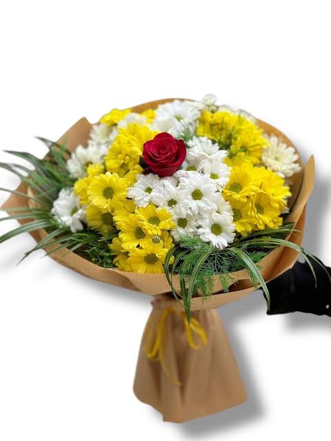 Malatya Çiçekçi - renkli papatya gül 